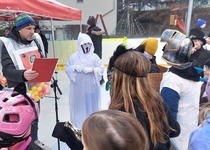 Karneval na ledě