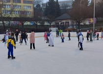 Karneval na ledě