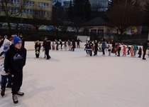 Karneval na ledě
