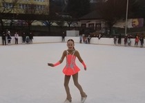Karneval na ledě