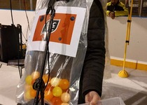 Karneval na ledě