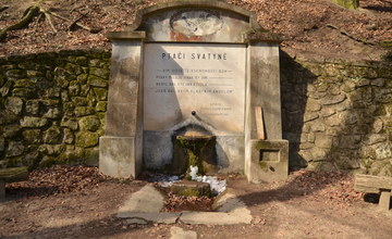 ŠLP ML Křtiny informuje