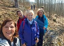 Ohlédnutí za vycházkou „Adamovské vyhlídky“