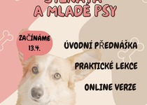 Jarní kurzy pro štěňata a mladé psy