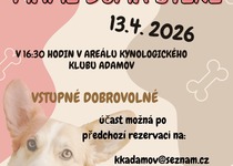 Veřejná přednáška: "máme doma štěně"