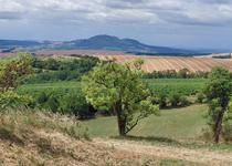 Ohlédnutí za vycházkou „Křepice“