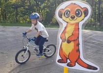 Cross Bike 2026