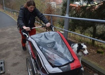 5. Mikulášský běh do vrchu – Adamovská vlásenka 2015 ve fotografiích