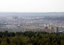 Ostrá horka