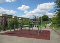 Workoutová sestava Ptačina