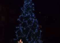 Slavnostní rozsvícení vánočního stromu ve fotografiích