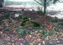 Vycházka nejen za pomníčky u Alexandrovky