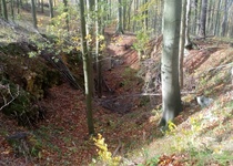 Vycházka nejen za pomníčky u Alexandrovky