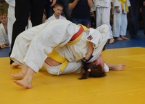 Judo Adamov informuje