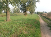 24 hodin kolem řeky Moravy
