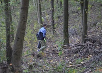 Poděkování za úklid