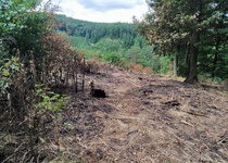 Zvýšené riziko lesních požárů