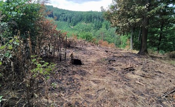 Zvýšené riziko lesních požárů