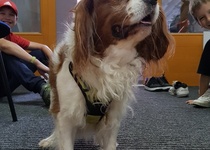 Vzácná návštěva