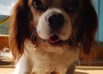 Vzácná návštěva