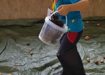 Dětské sportovní odpoledne ve fotografii