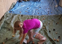 Dětské sportovní odpoledne ve fotografii