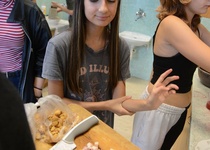 Dny zdraví – Staň se bramborovým králem