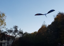 Drakiáda v obrazech