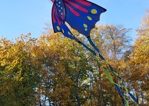 Drakiáda v obrazech