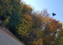 Drakiáda v obrazech