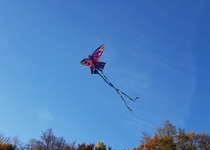 Drakiáda v obrazech