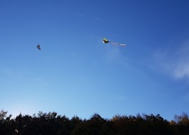 Drakiáda v obrazech