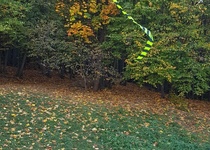 Drakiáda v obrazech