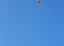 Drakiáda v obrazech