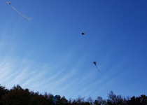 Drakiáda v obrazech