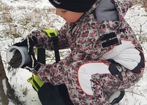 Zdobení stromečku pro zvířátka