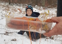 Zdobení stromečku pro zvířátka