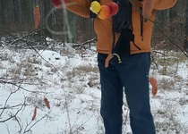 Zdobení stromečku pro zvířátka