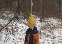 Zdobení stromečku pro zvířátka