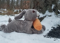 Zdobení stromečku pro zvířátka