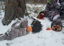 Zdobení stromečku pro zvířátka