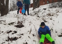 Zdobení stromečku pro zvířátka