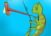 Výstava kreslených vtipů