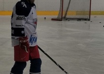 TJ Rájec-Jestřebí - Spartak Adamov 8:7 (3:4, 2:2, 3:1)