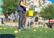 Sportovní odpoledne 2023