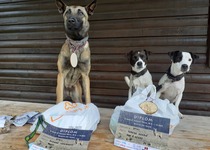 Dogtrekking Valašská Vlčica