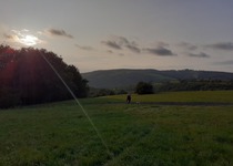 Dogtrekking Valašská Vlčica